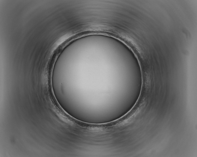 X0000112501114200908171303
