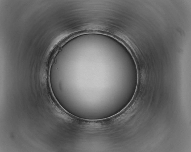X0000112501115200908171303