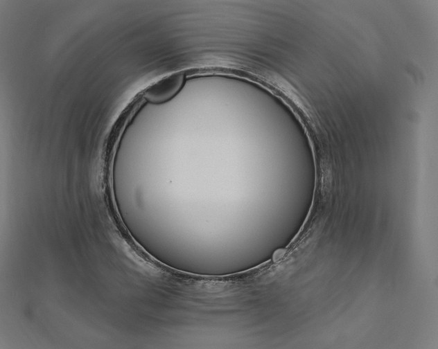 X0000112501116200908171303