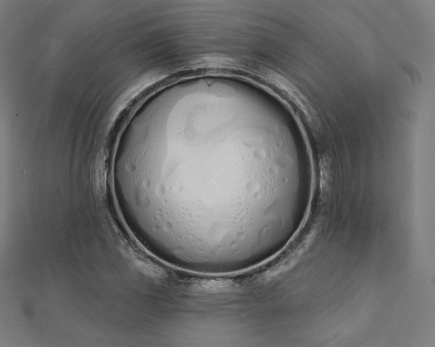 X0000112501117200908171303