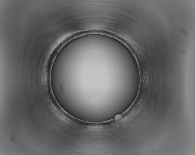 X0000112501118200908171303