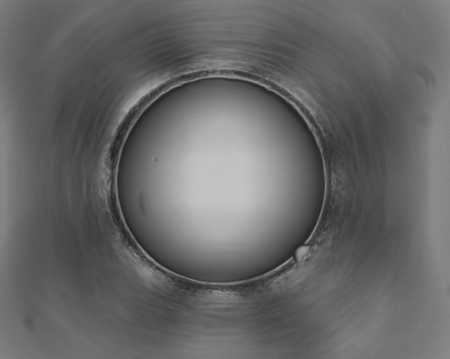 X0000112501119200908171303