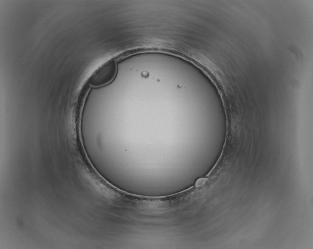 X0000112501120200908171303