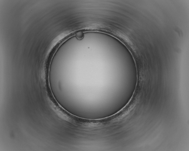 X0000112501122200908171303