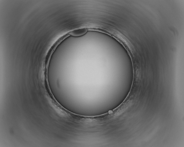X0000112501124200908171303