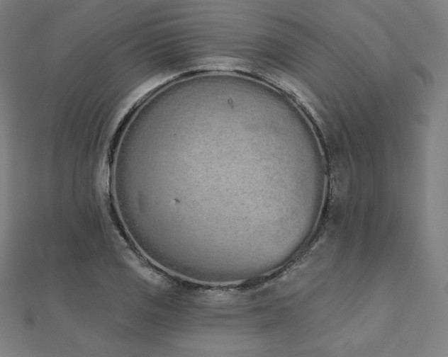 X0000112501125200908171303
