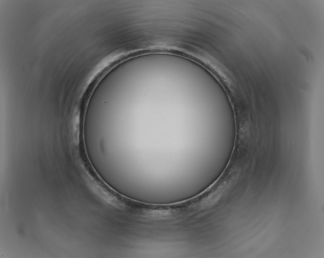X0000112501126200908171303