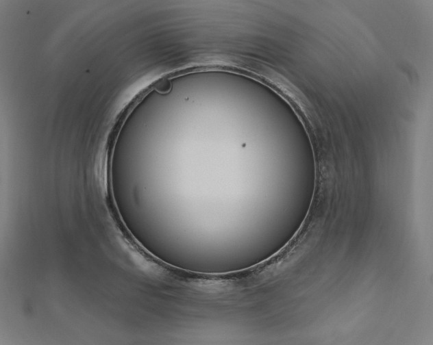 X0000112501127200908171303