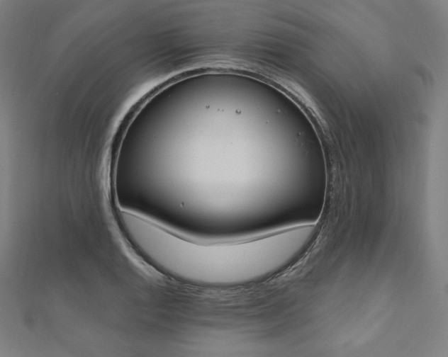 X0000112501128200908171303