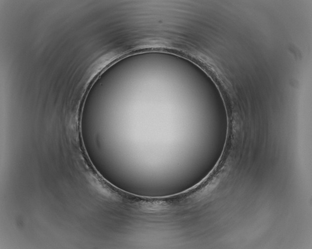 X0000112501129200908171303