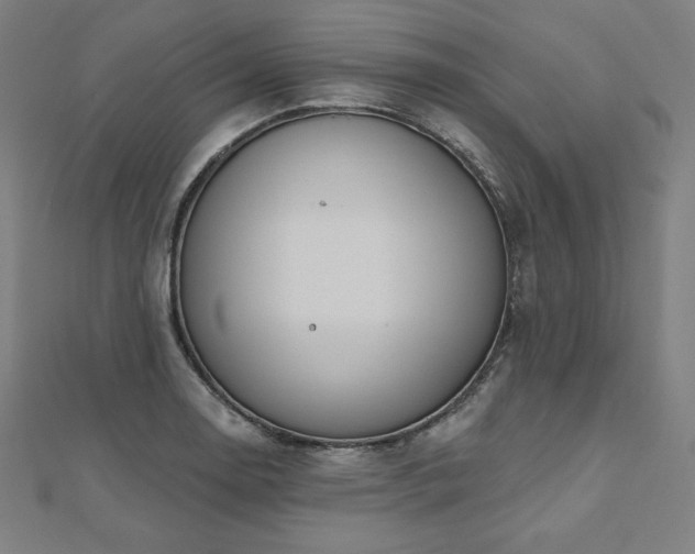 X0000112501130200908171303