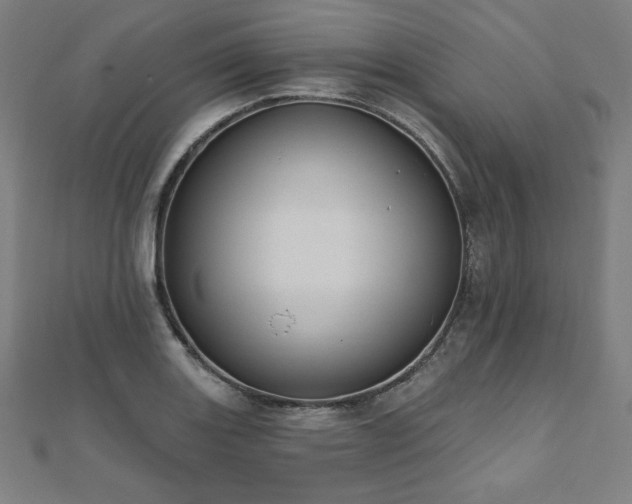 X0000112501131200908171303