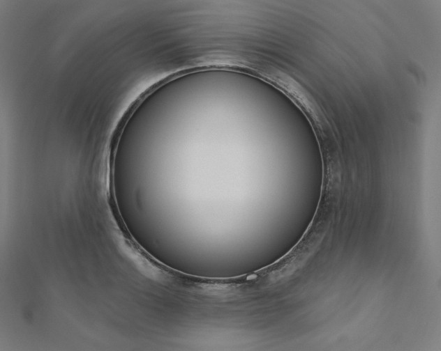 X0000112501132200908171303