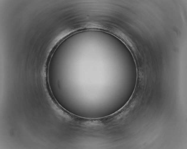 X0000112501133200908171303