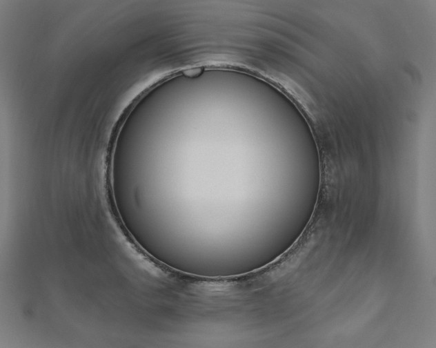 X0000112501134200908171303