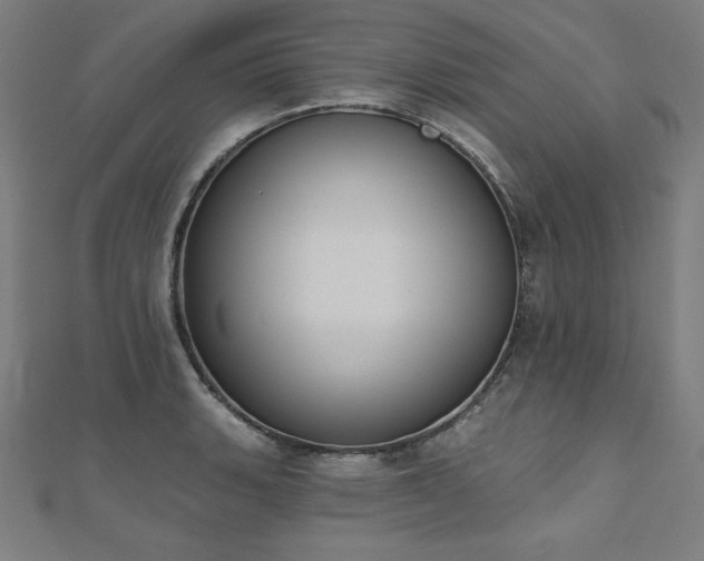 X0000112501135200908171303