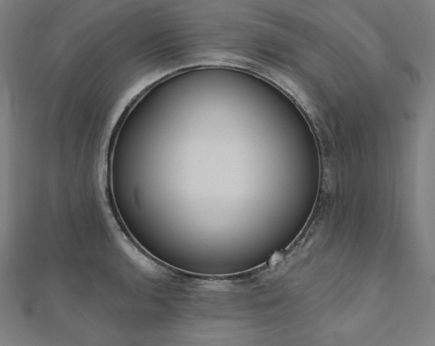X0000112501136200908171303