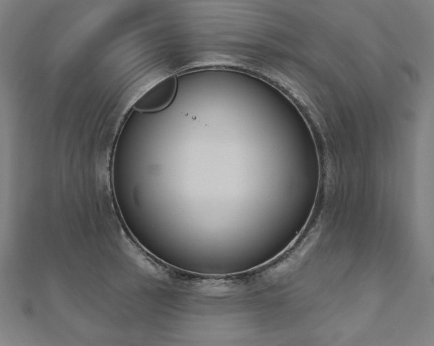 X0000112501137200908171303