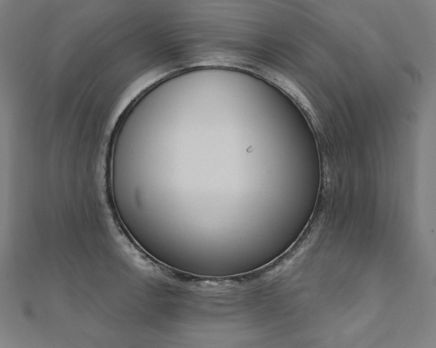 X0000112501138200908171303