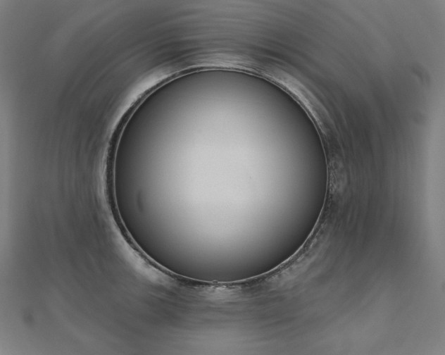 X0000112501139200908171303