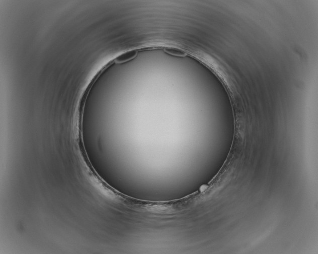 X0000112501140200908171303