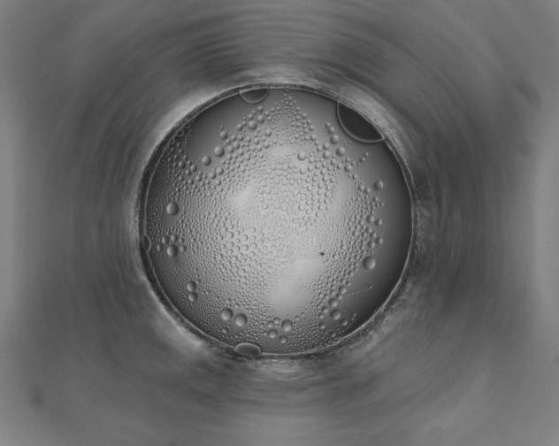 X0000112501141200908171303