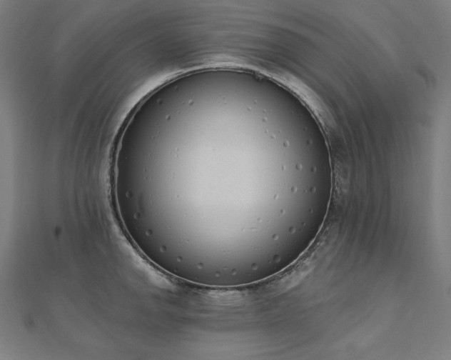 X0000112501142200908171303