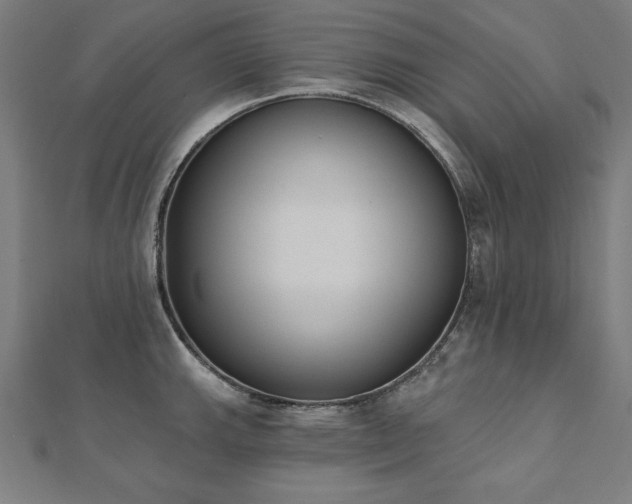X0000112501143200908171303