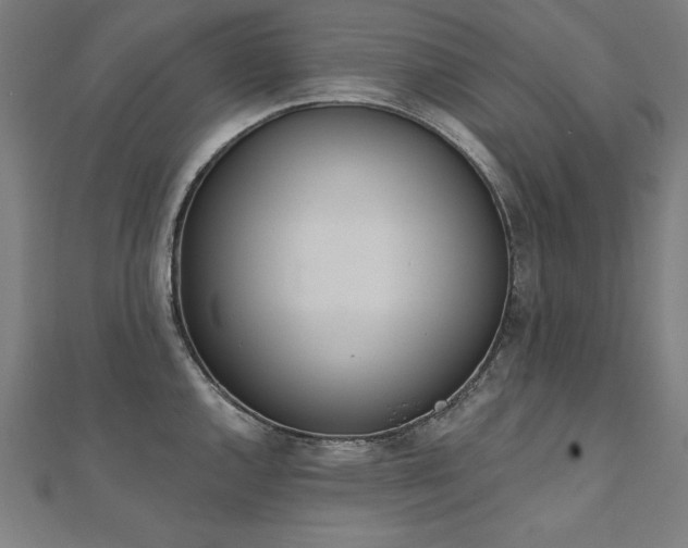 X0000112501144200908171303