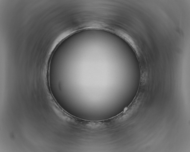 X0000112501146200908171303