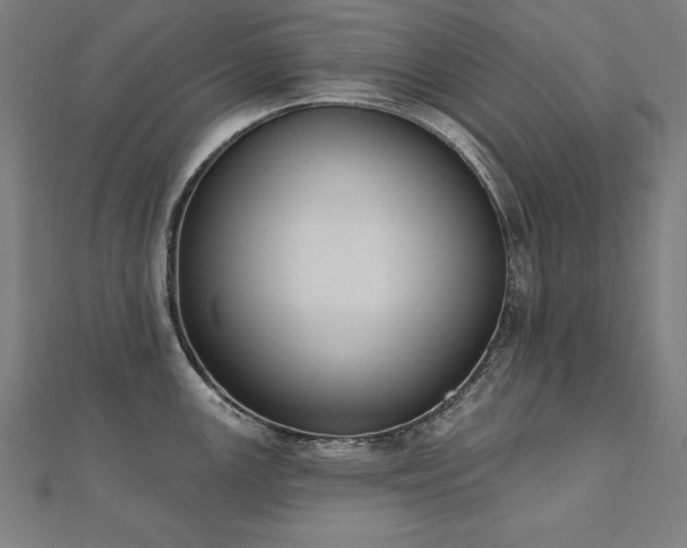 X0000112501147200908171303