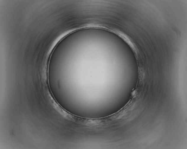 X0000112501148200908171303