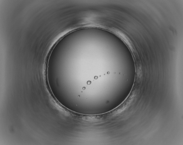 X0000112501149200908171303