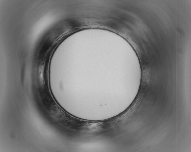 X0000112501150200908171303