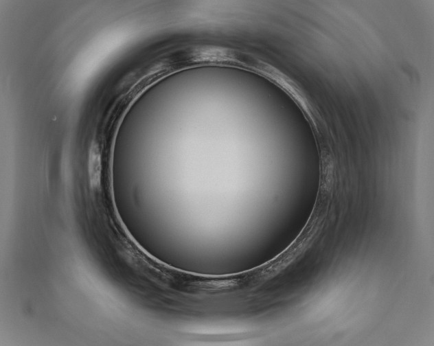 X0000112501151200908171303