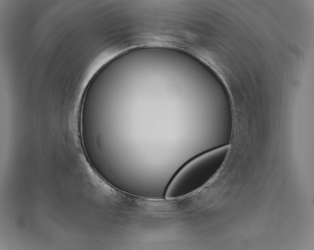 X0000112501152200908171303