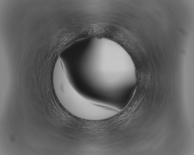X0000112501153200908171303