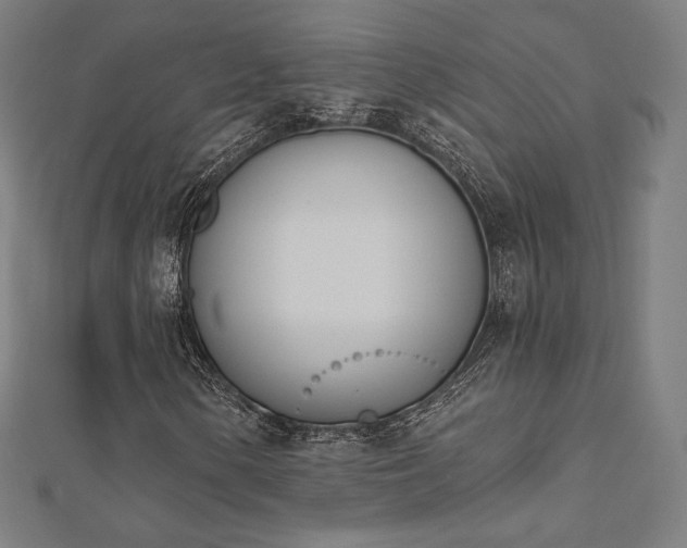 X0000112501154200908171303