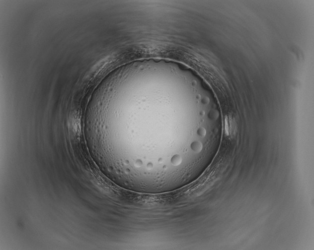 X0000112501155200908171303
