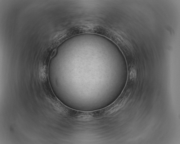 X0000112501156200908171303