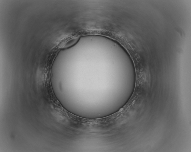 X0000112501157200908171303