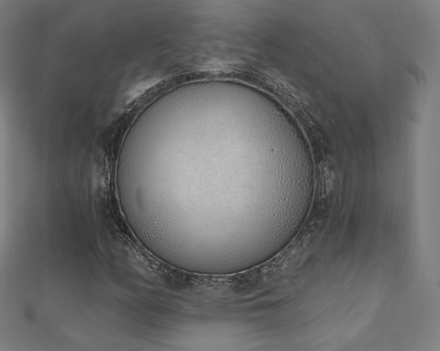 X0000112501158200908171303