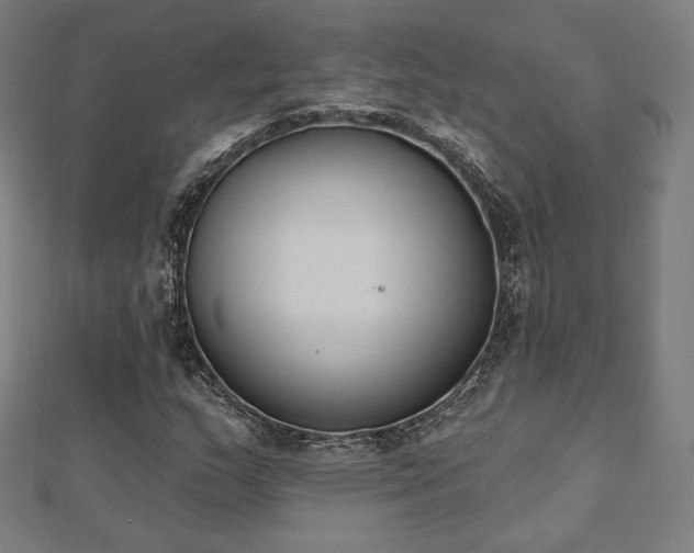 X0000112501159200908171303
