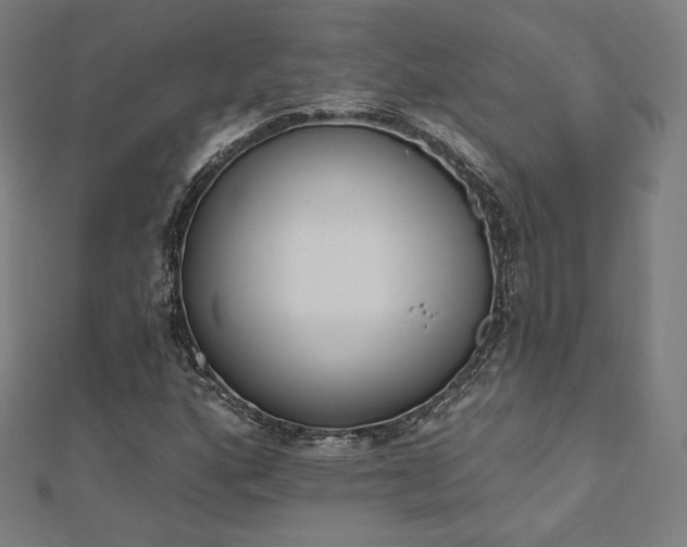 X0000112501160200908171303