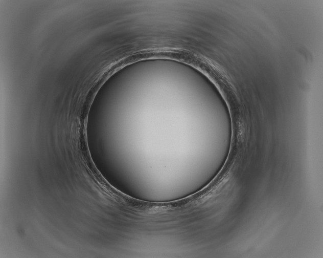 X0000112501161200908171302