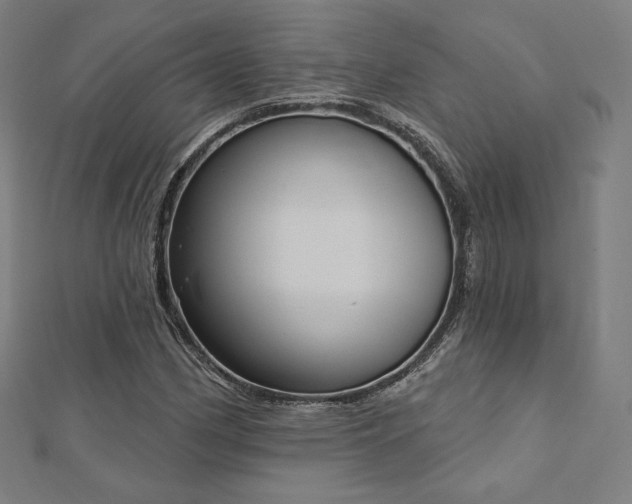 X0000112501162200908171302