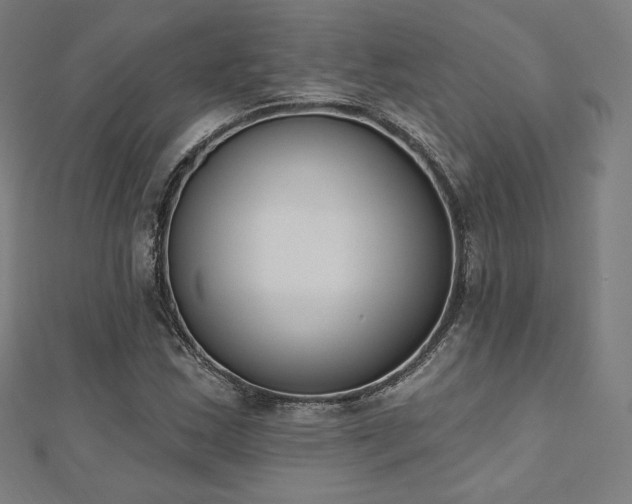 X0000112501163200908171302