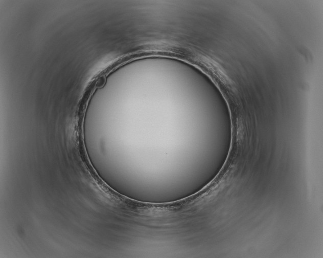 X0000112501164200908171302