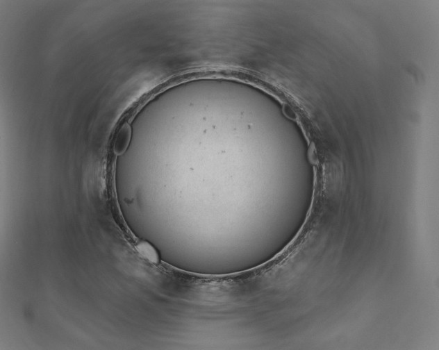 X0000112501165200908171302