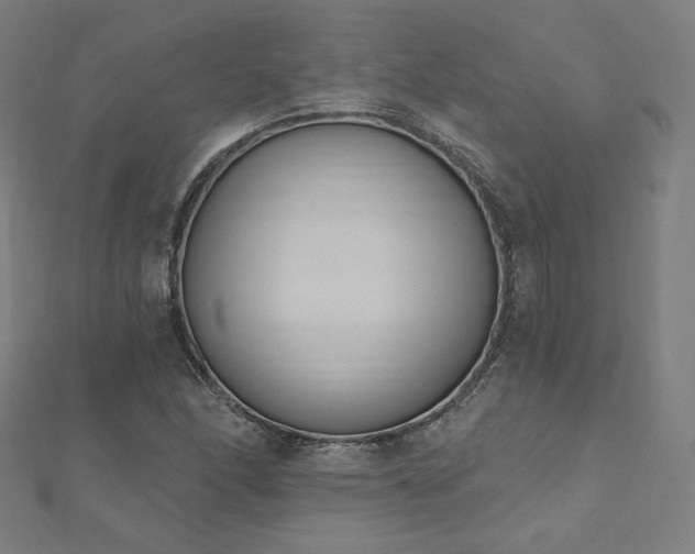 X0000112501166200908171302